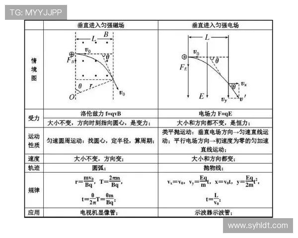 全面提升体能与健康的运动方法探索与实践建议