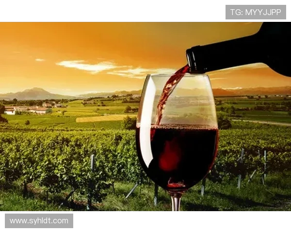 波尔图周边独特旅游线路推荐探索葡萄酒文化与古老遗址之美